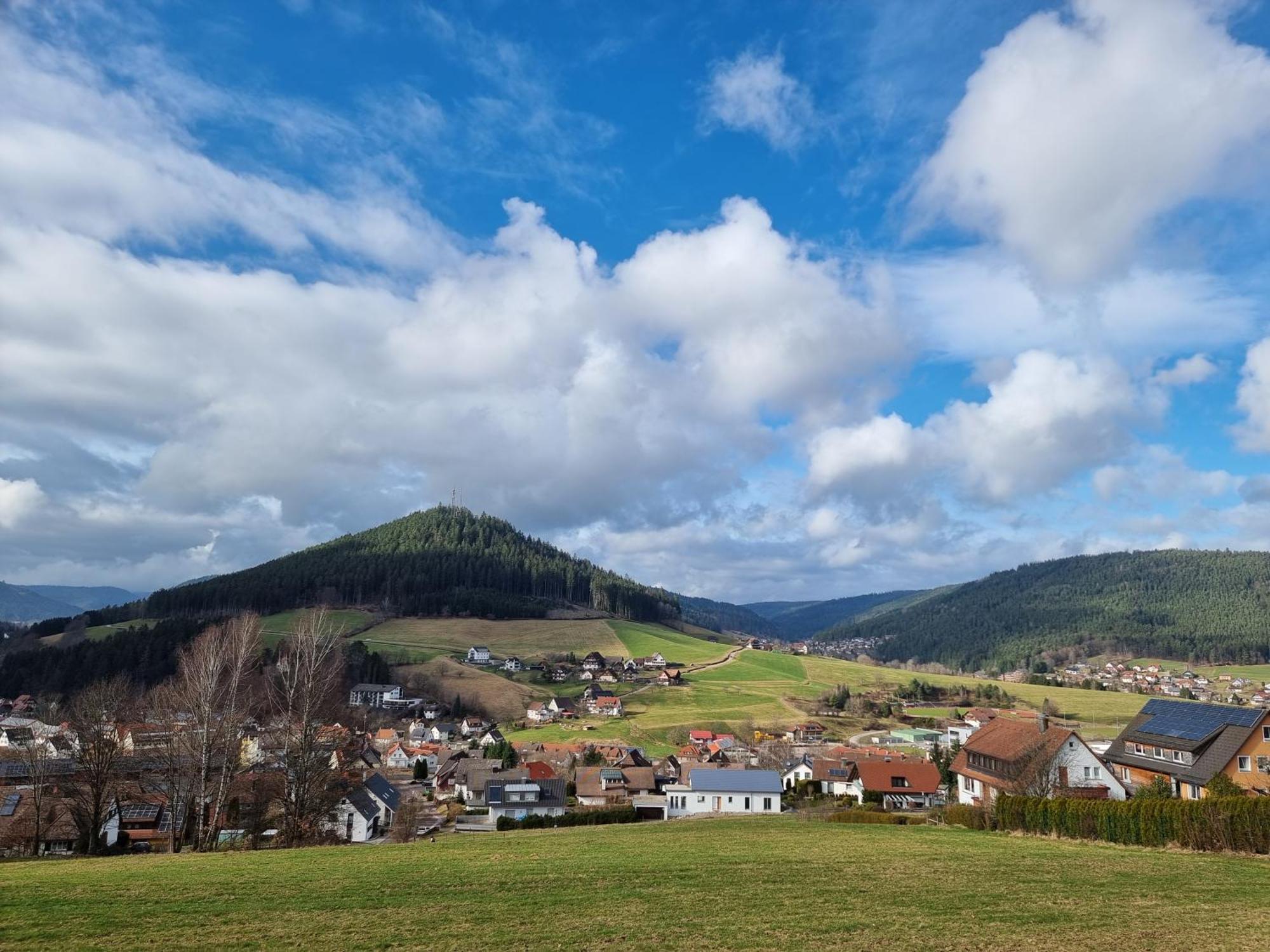 Fewo Mit Pool In Baiersbronn Exteriör bild