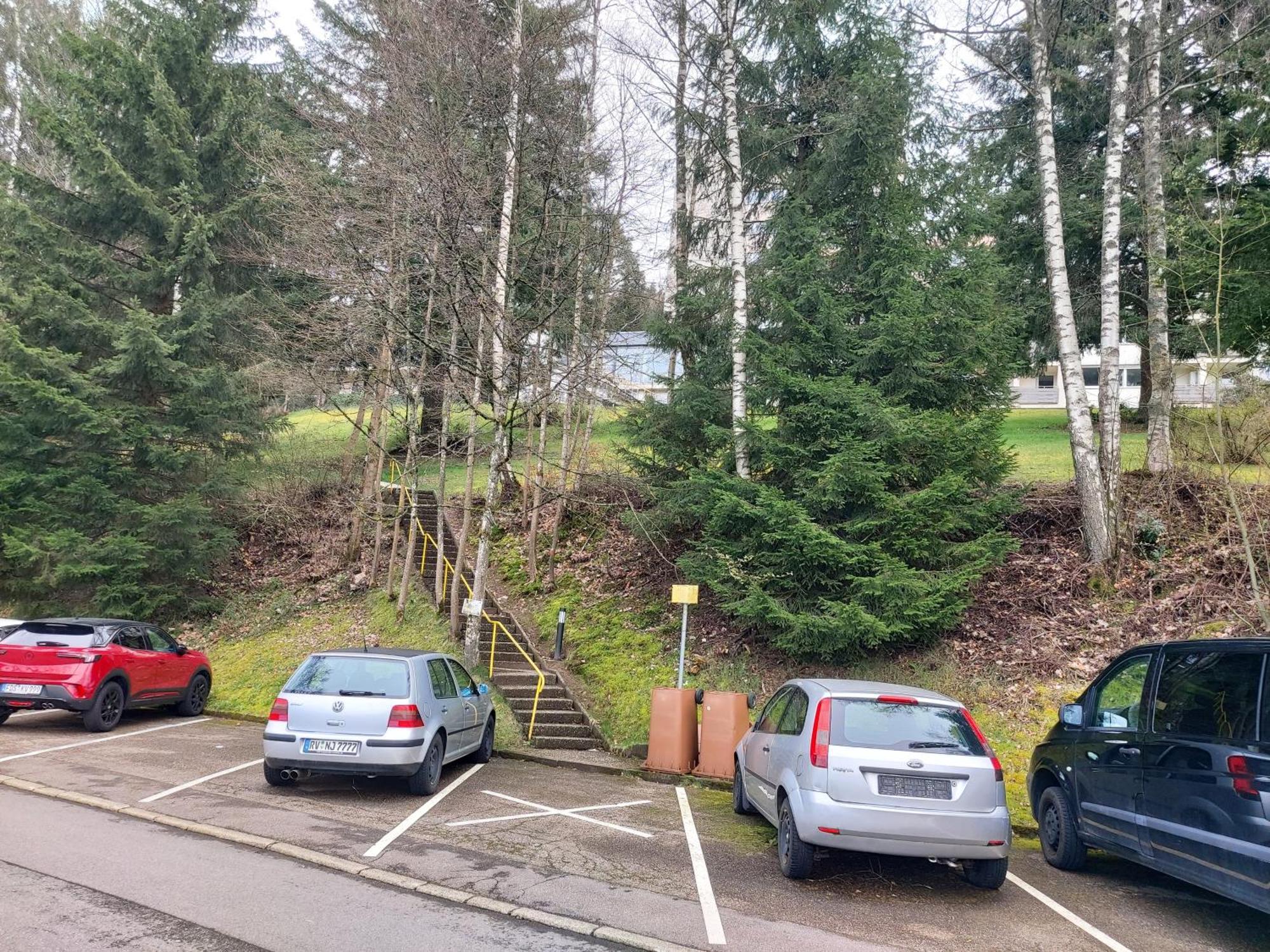 Fewo Mit Pool In Baiersbronn Exteriör bild