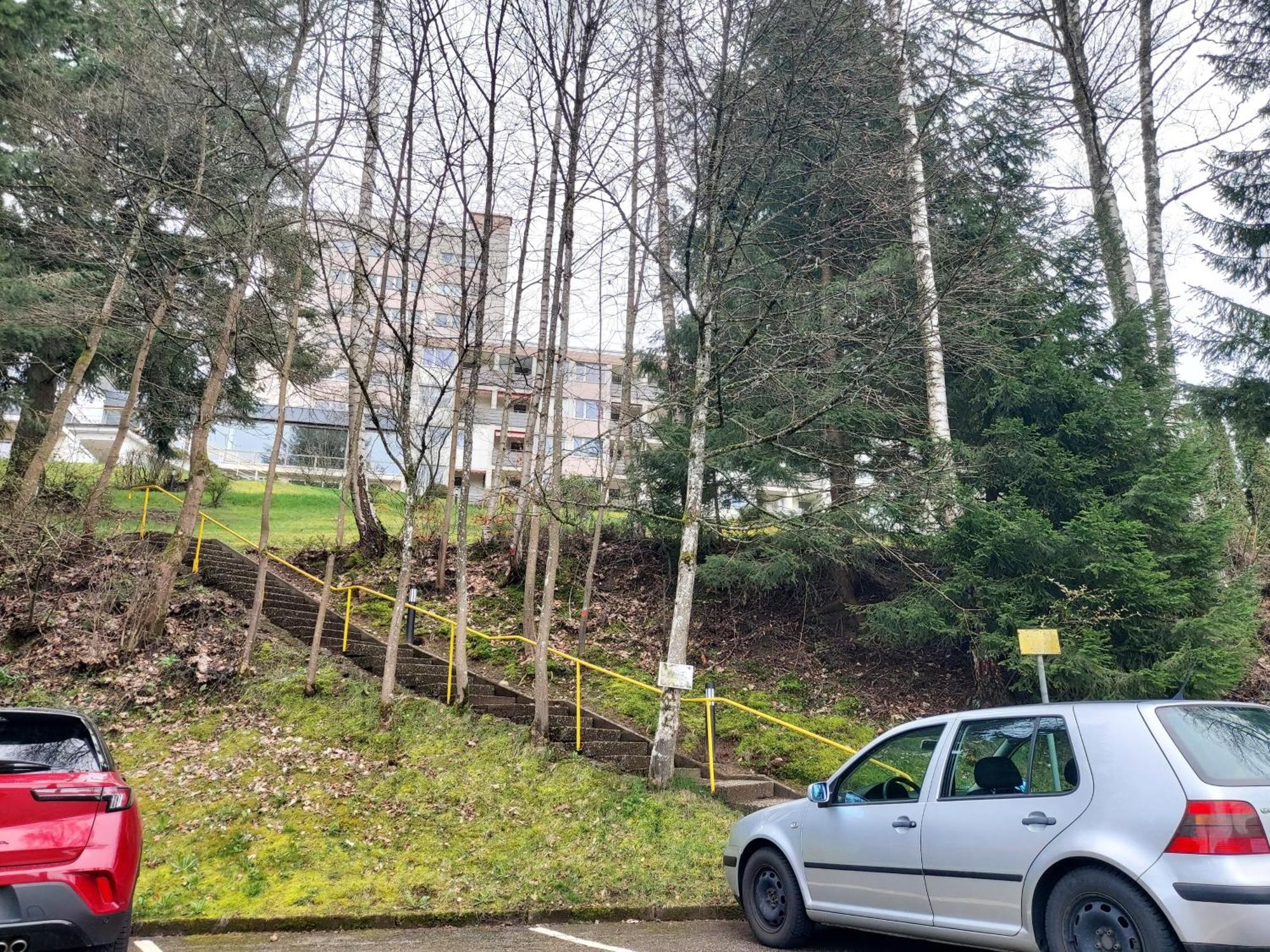 Fewo Mit Pool In Baiersbronn Exteriör bild